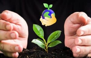 Cuidar tus plantas con apps inteligentes