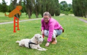 Entrenamiento Innovador