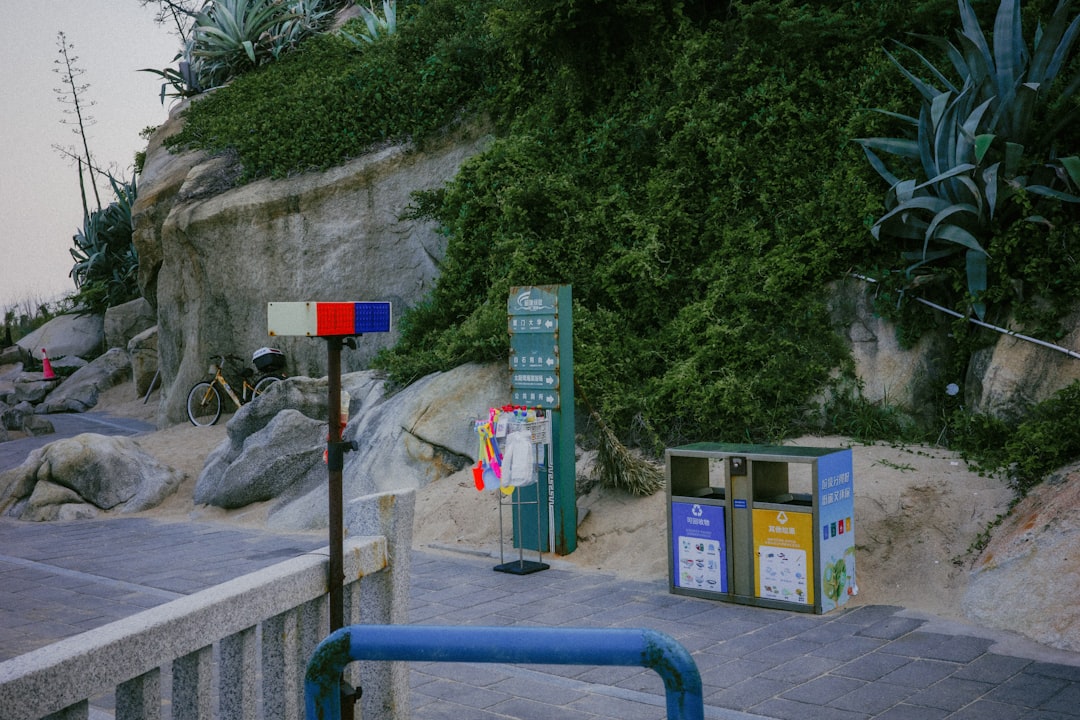 Recupera tus fotos borradas: app eficaz para móviles